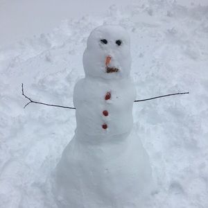 Meet your Posher, Vince